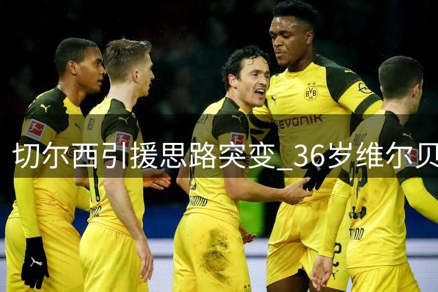 切尔西引援思路突变 36岁维尔贝克或成阿隆索时代首签
